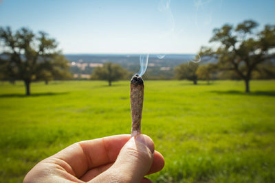 Can I Buy THCA Online in Texas?