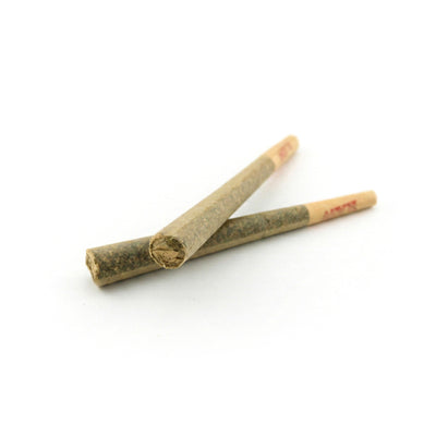 Lemon Zelato Prerolls