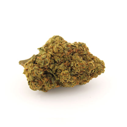 Gelato 41 THCa Flower