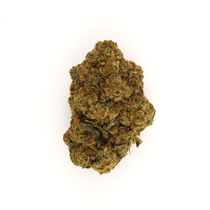 Gelato 41 THCa Flower