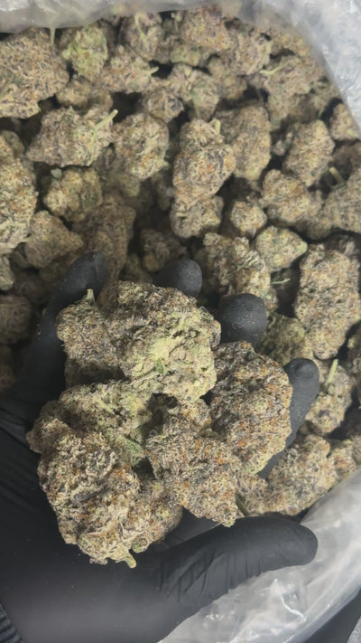 Skunk #1 THCa Flower