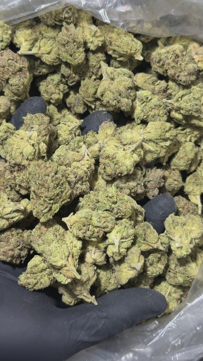 Magic gum drop video