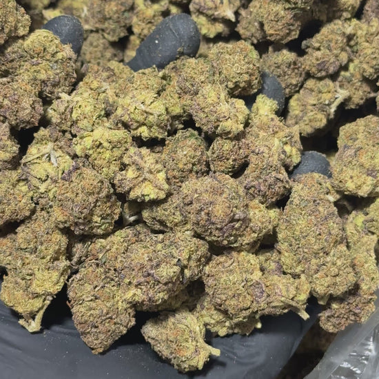 Rainbow sherbert video